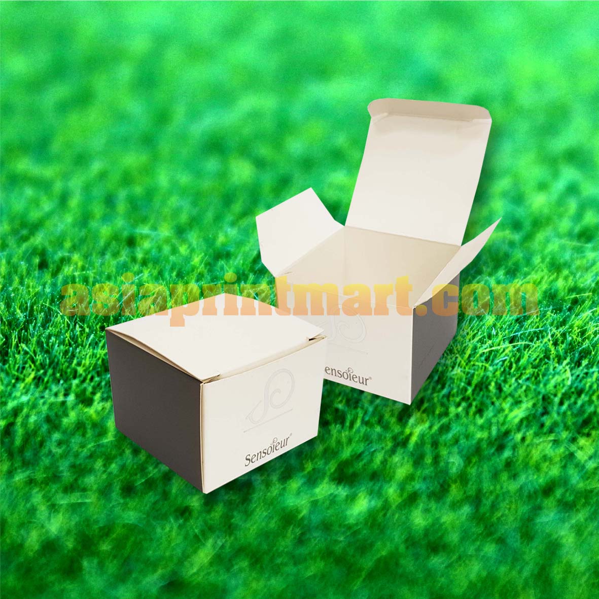 packaging supplier malaysia | packaging manufacturer malaysia | packaging printing malaysia